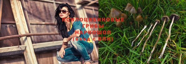 стафф Новозыбков