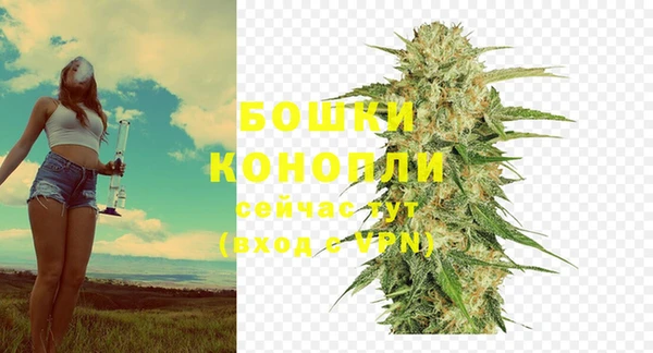 ешки Бородино