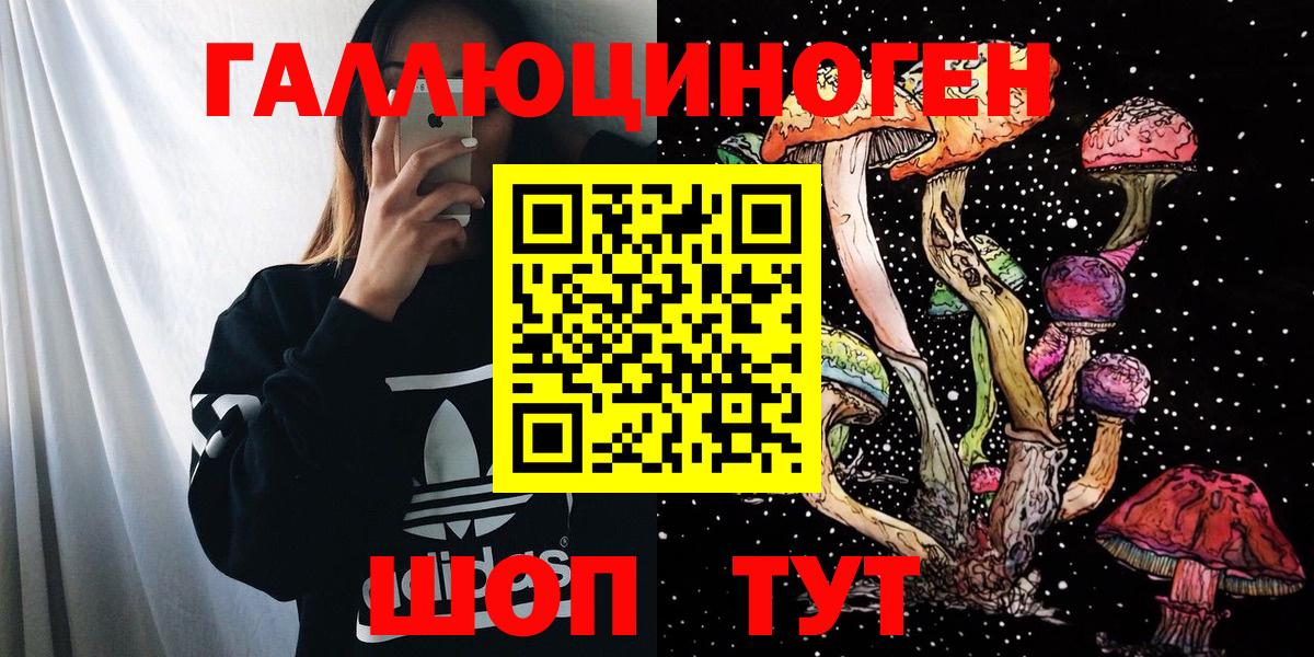 Псилоцибиновые грибы GOLDEN TEACHER  где купить наркоту  Магадан  Псилоцибиновые грибы прущие грибы 