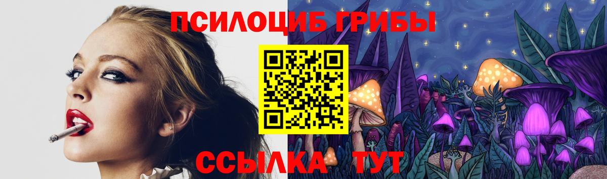 Псилоцибиновые грибы мухоморы Магадан